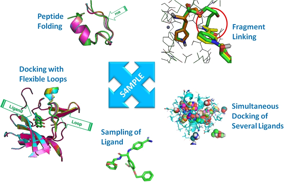 Protein Folding and Misfolding Neurodegenerative Diseases 最安値比較 成瀬東京のブログ